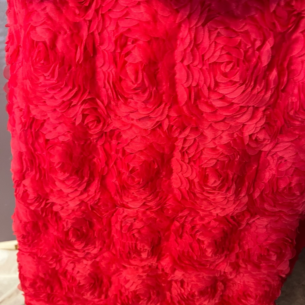 SKIRT OF ROSES - Picture 4 of 4